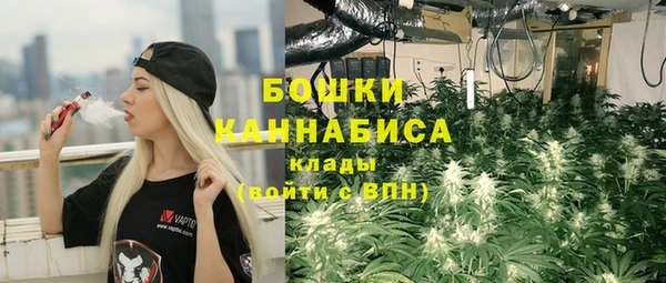 спайс Няндома