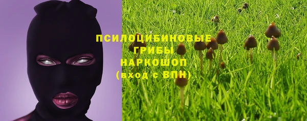 спайс Няндома