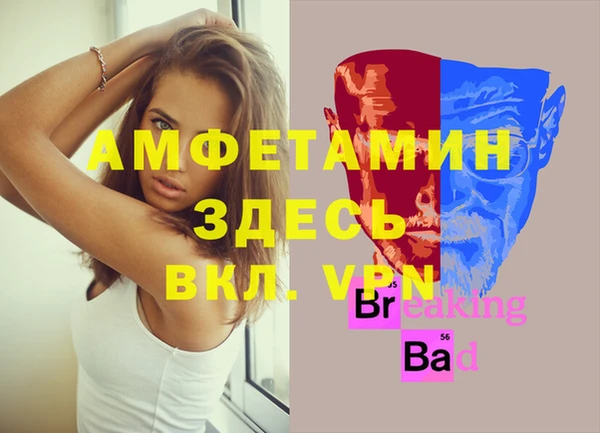 спайс Няндома