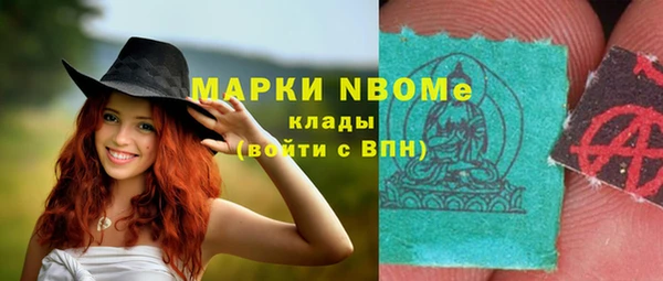спайс Няндома