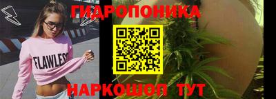 гидра Сланцы