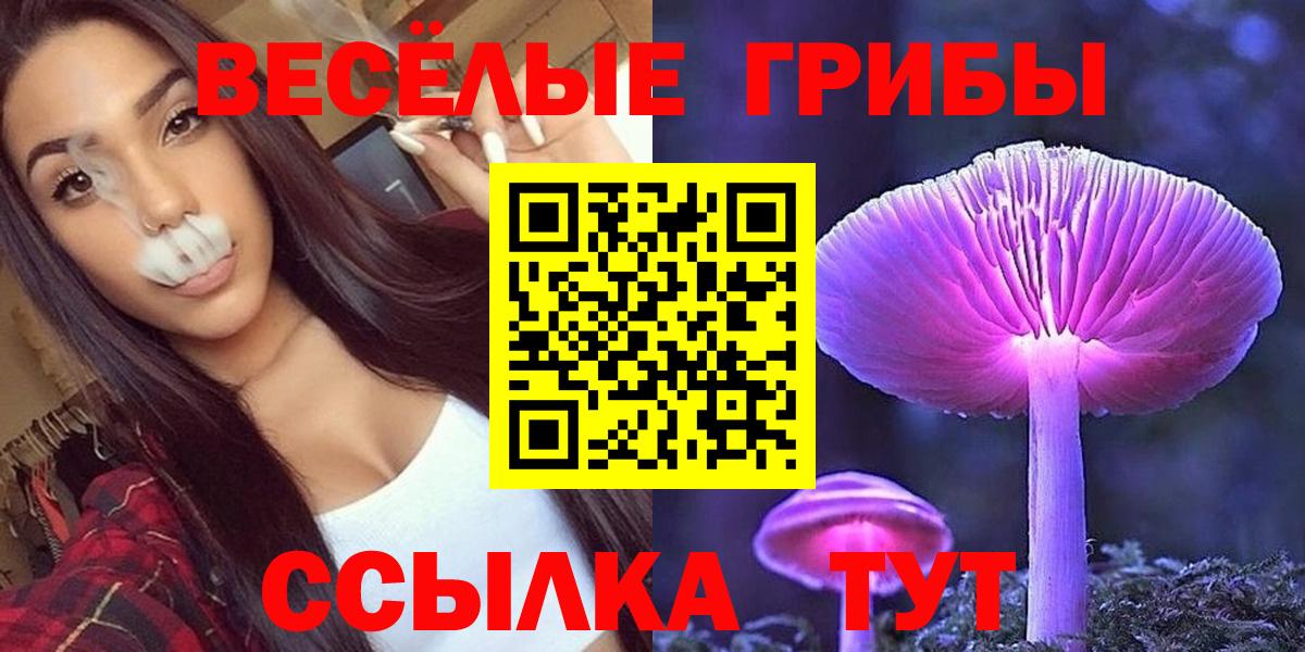Прохладный  Псилоцибиновые грибы MAGIC MUSHROOMS  Вход с VPN 