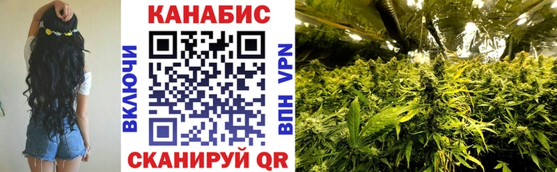 Каннабис MAZAR купить Прохладный